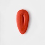 No 4 Passion Lip Gloss